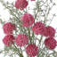23" Plastic Wild Allium Bush-353061086