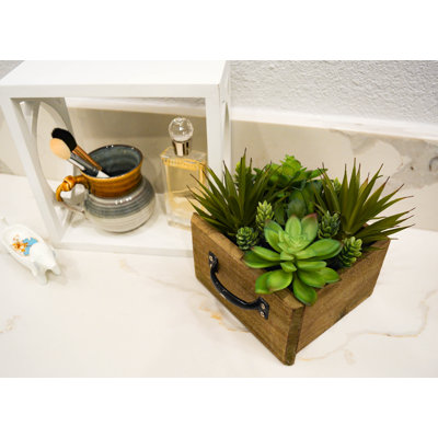 8 " H Faux Succulent Plant