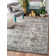 Oriental Area Rug