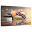 Crowle - adorable canard mandarin-111824078