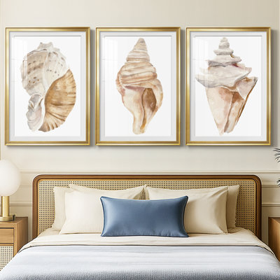 Seashell I  -Custom Framed  Premium Print W Matt - 3 Pieces