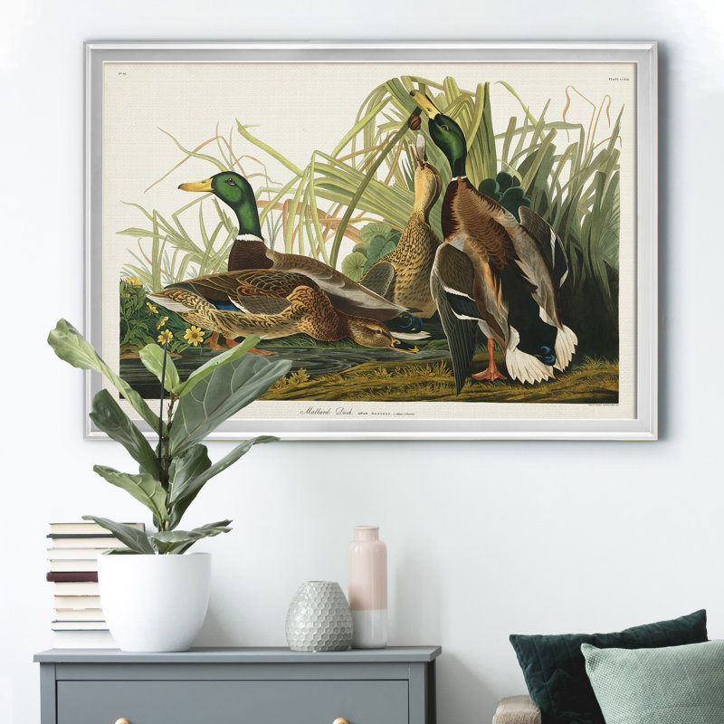 Mallard Duck - reproduction d'art sur toile, H 22,5 po x l 30,5 po x P 1,5 po, Argent