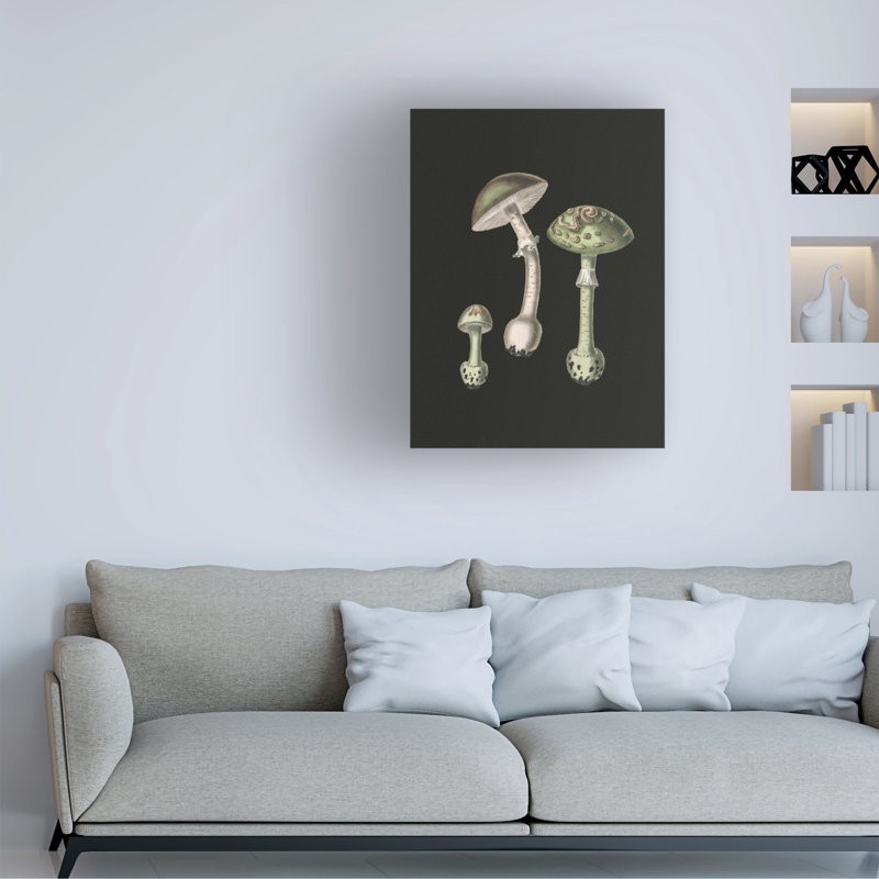 Amanita Muscaria sur fond sombre, H 24 po x l 18 po x P 2 po