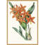 «Tropicals IV» par Jennifer Paxton Parker, reproduction d'art sur toile encadrée-112654999