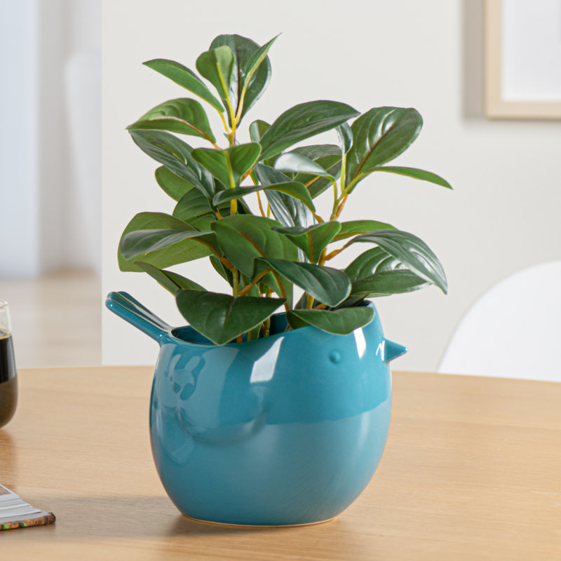 Zygi Bird Gloss Ceramic Planter Pot for 4" Nursery Pots (Teal), Teal