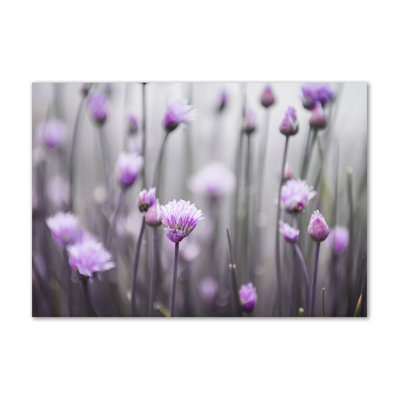 Flowers Of Chives - Wrapped Canvas Print