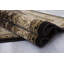 Alezia Oriental Area Rug in Brown/Beige