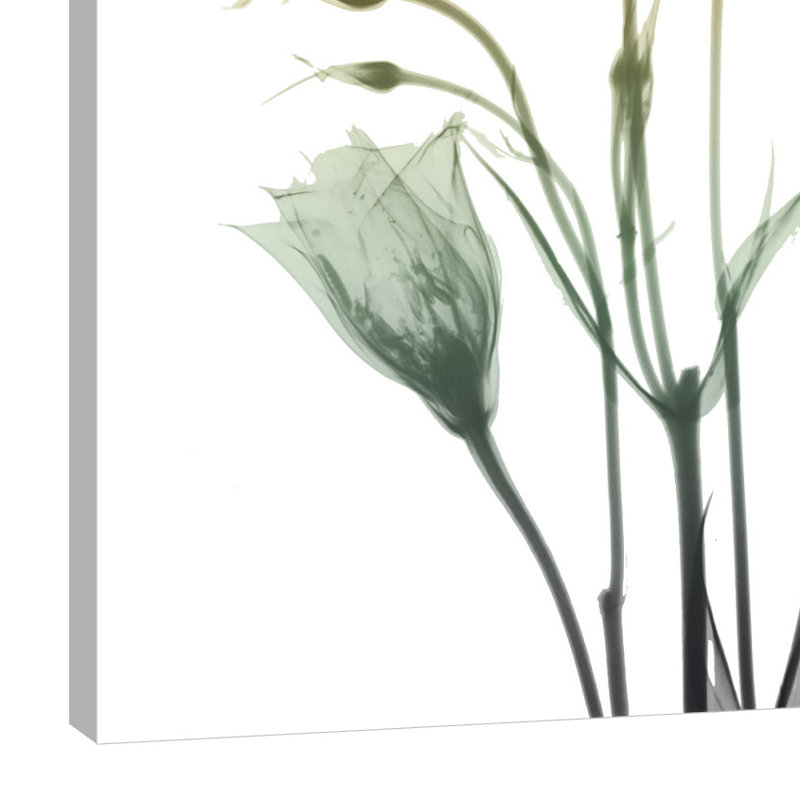 Ocre Bloom 1 - Wrapped Canvas Print, 122 cm H x 91 cm W