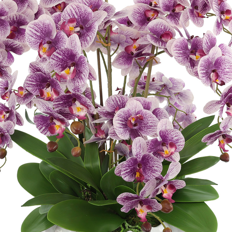 Purple Orchids Arranged in Decorative Ceramic Pot, 30"H x 28"W x 28"D