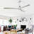 59.96'' Ceiling Fan with LED Lights