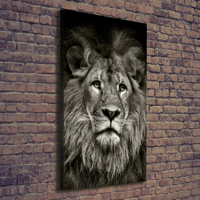 Lion - Wrapped Canvas Print