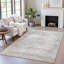 Tapis argenté intérieur / extérieur lavable à la machine Xhevrie-112029722