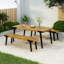 1 DINING TABLE+2 DINING BENCHES