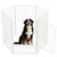 Panneaux de enclos pour chien multi-tailles en métal avec 1 porte-122273254-122273259