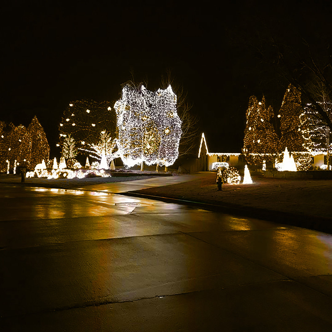 5mm Lightsets 24'' LED String Lights The Holiday Aisle®