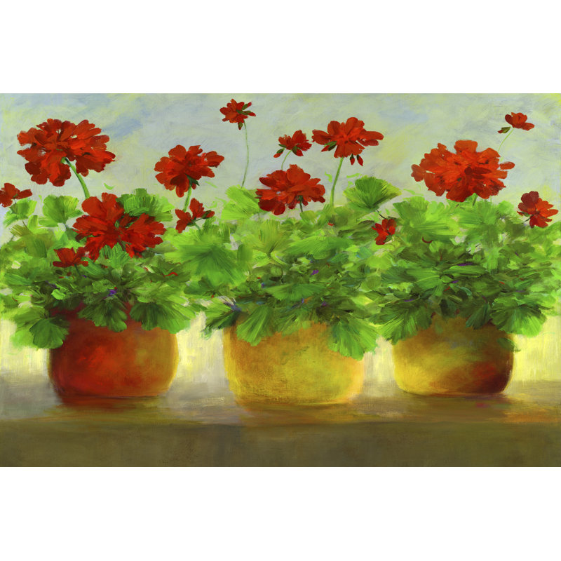 «Geraniums III» par Sheila Finch - peinture sur toile tendue, H 12 po x l 18 po x P 1,25 po