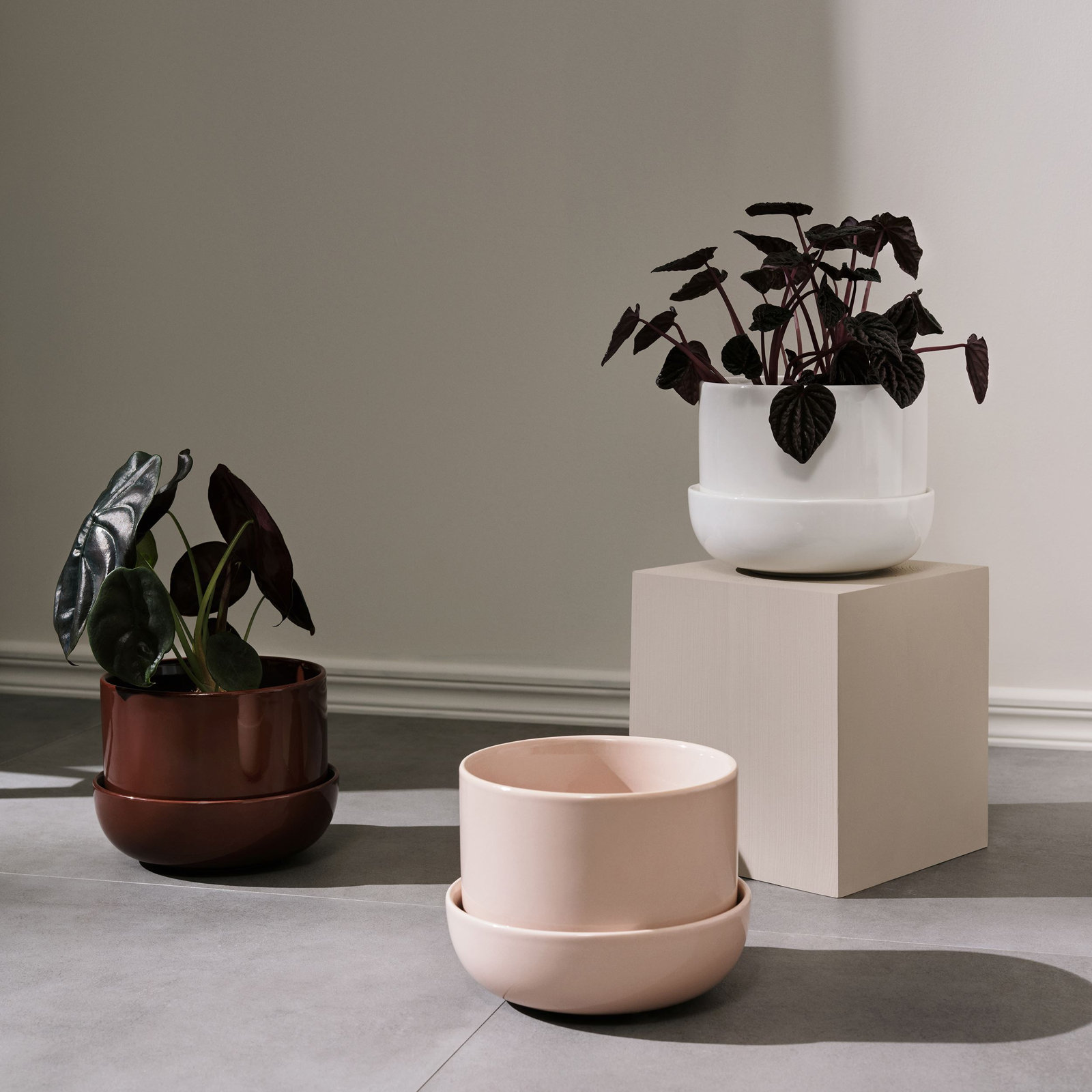 Juba 7" Ceramic Pot Planter, Pink