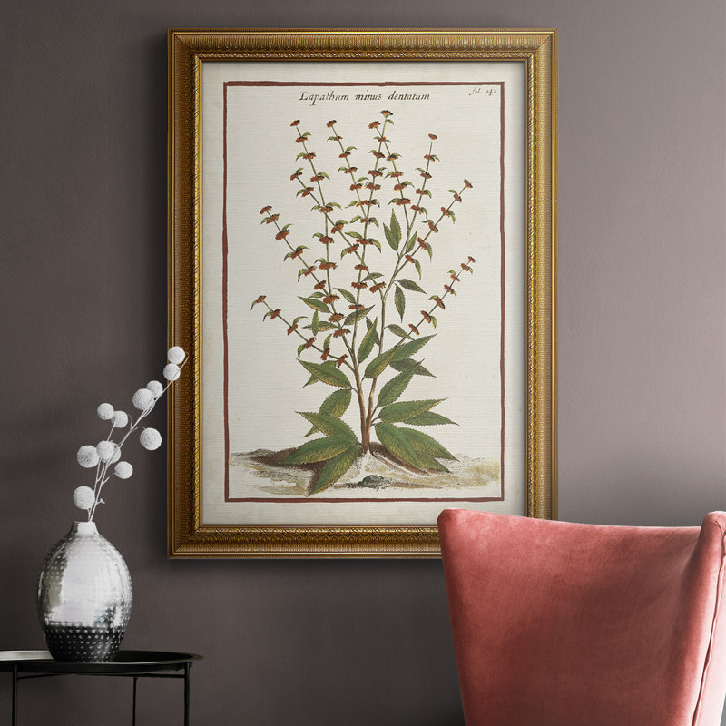 «Munting Botanicals III», reproduction d'art sur toile, L 16 po x H 20 po