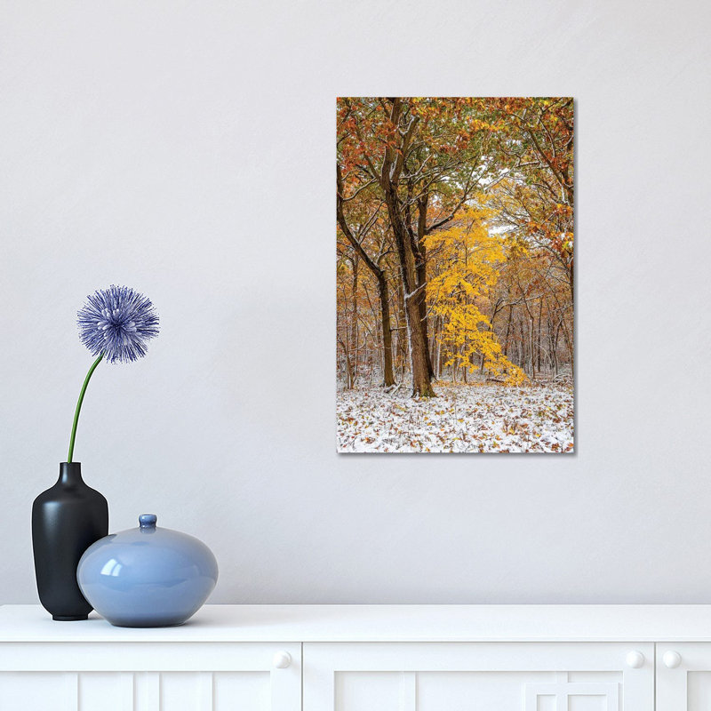 White And Yellow by Nejdet Duzen - Wrapped Canvas Print, 30.48 cm H x 45.72 cm W