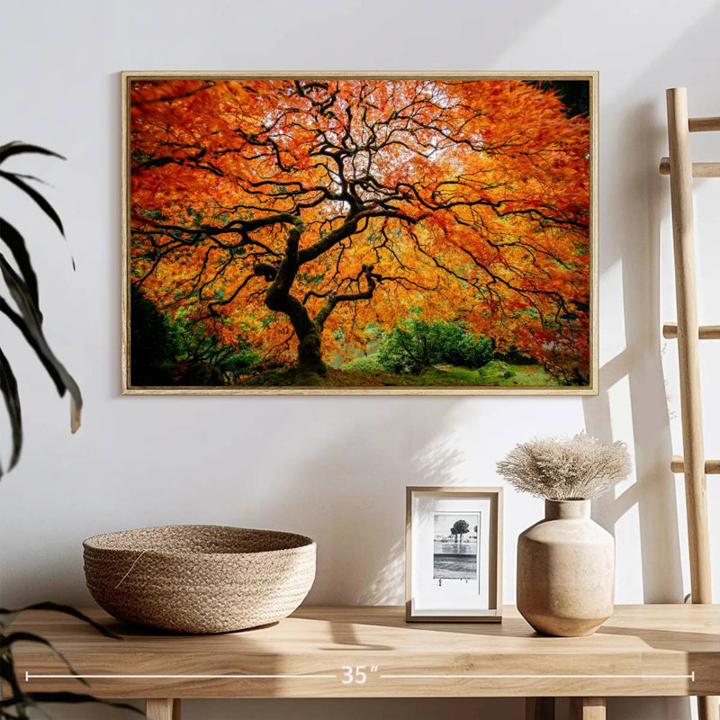 Automne érable japonais, 25 po x 17 po, Cadre flottant en bois naturel