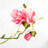 Magnolia Flowers Tablecloth | Floral Indoor Outdoor Decor