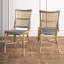 Albury 19'' H Side Chair