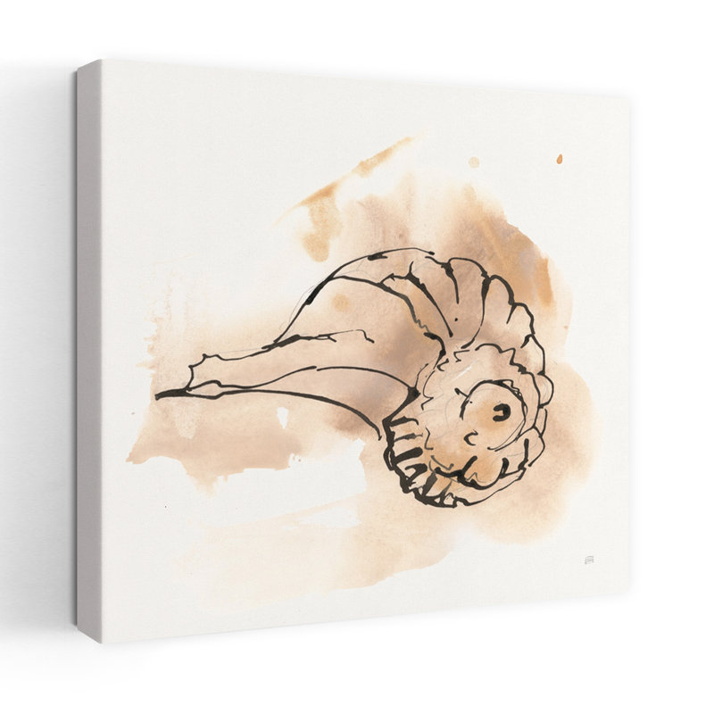 Sandy Conch II, art côtier abstrait, H 18 po x l 18 po