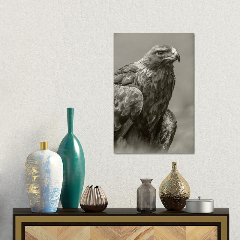 Golden Eagle Portrait, North America by Tim Fitzharris - No Frame Gallery-Wrapped Canvas Giclée on Canvas