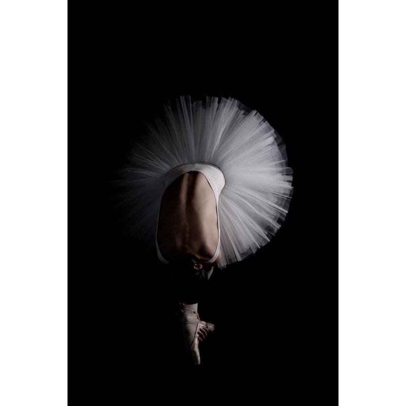 Wrapped Canvas Print, 76.2 cm H x 50.8 cm W