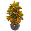Plante croton artificielle en pot de fleurs