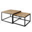 Sattley 2 Piece Coffee Table-986794377-986794389-979999774