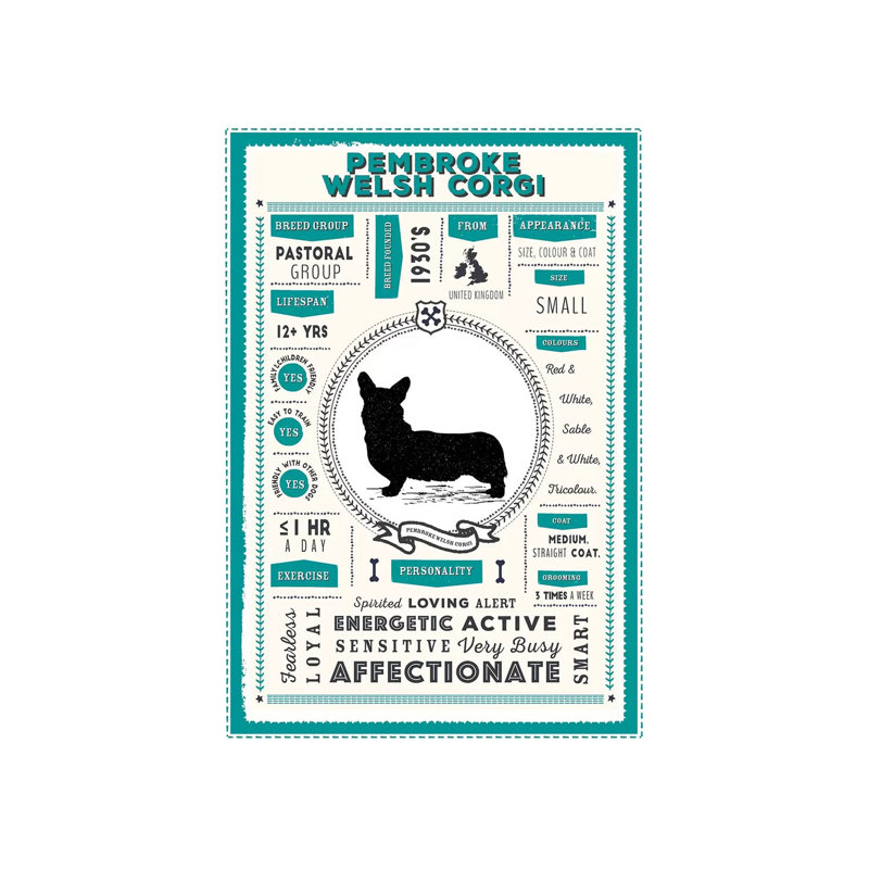 «Pembroke Welsh Corgi Infographie Blue» par PaperPaintPixels, impression sur toile tendue, H 26 po x l 18 po x 1,5 po
