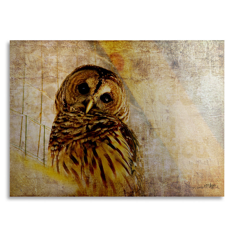 « hibou » par lois bryan, impression sur métal