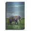 «Elephant» par Ron Parker sur métal-100012422