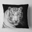 Tigre blanc du Bengale regardant fixement - Coussin imprimé animal-30744061-30744065