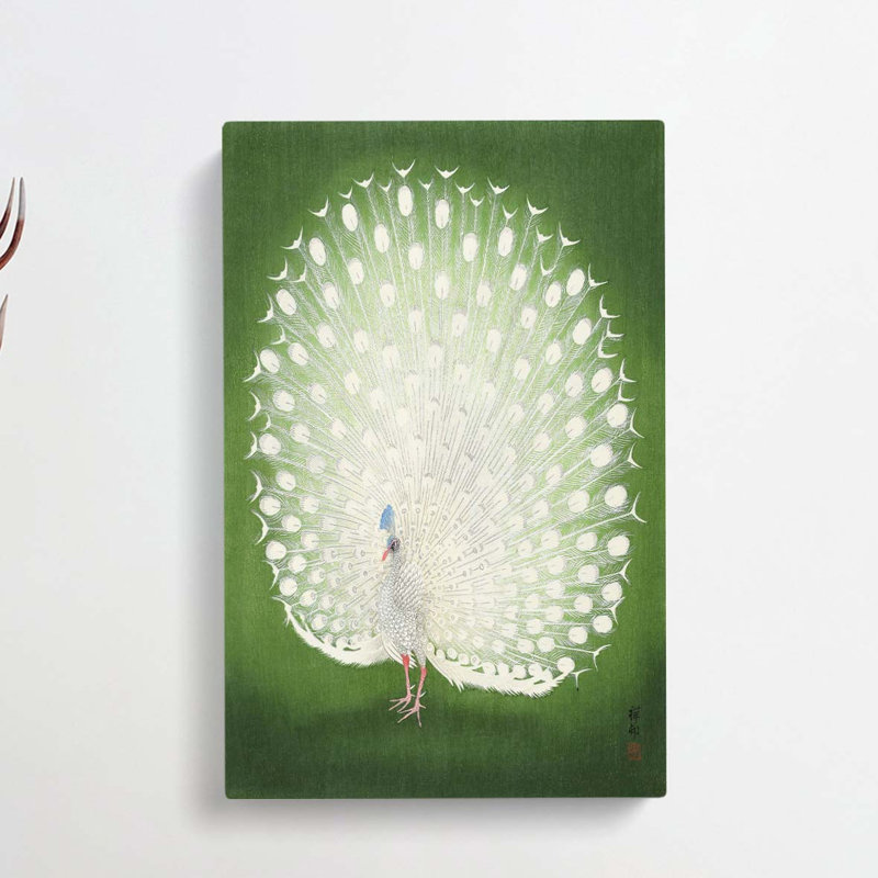 Peacock - Wrapped Canvas, 91cm H x 60cm W x 3cm D