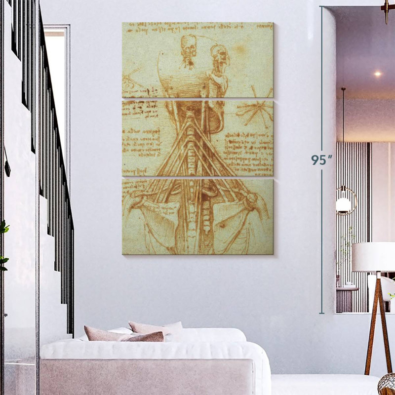 Anatomie du cou Keiri