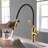 KIBI Engel Pull Down Kitchen Faucet-63955599