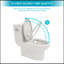 Modern Ceramic One Piece Toilet,Single Flush With Soft Clsoing Seat
