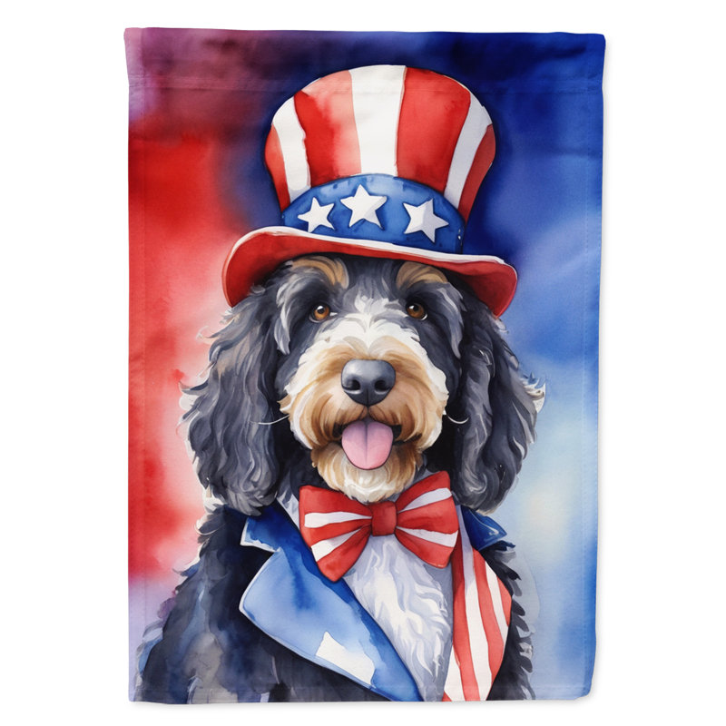 Drapeau patriotique du jardin américain, Bernedoodle
