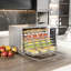 Four à convection de comptoir 120 volts 730 watts