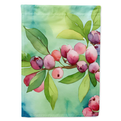 Double Sided 40'' H x 28'' W Polyester House Flag