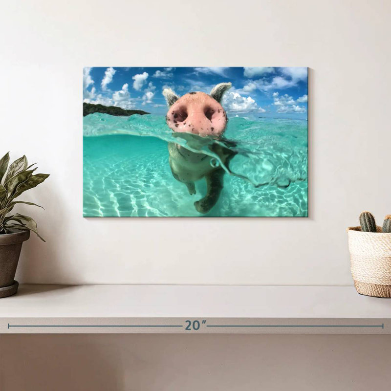 Brampt Swimming Wild Pig, 8" H x 12" W