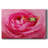 Hanging On VIII-Gallery Wrapped Canvas-1766245930