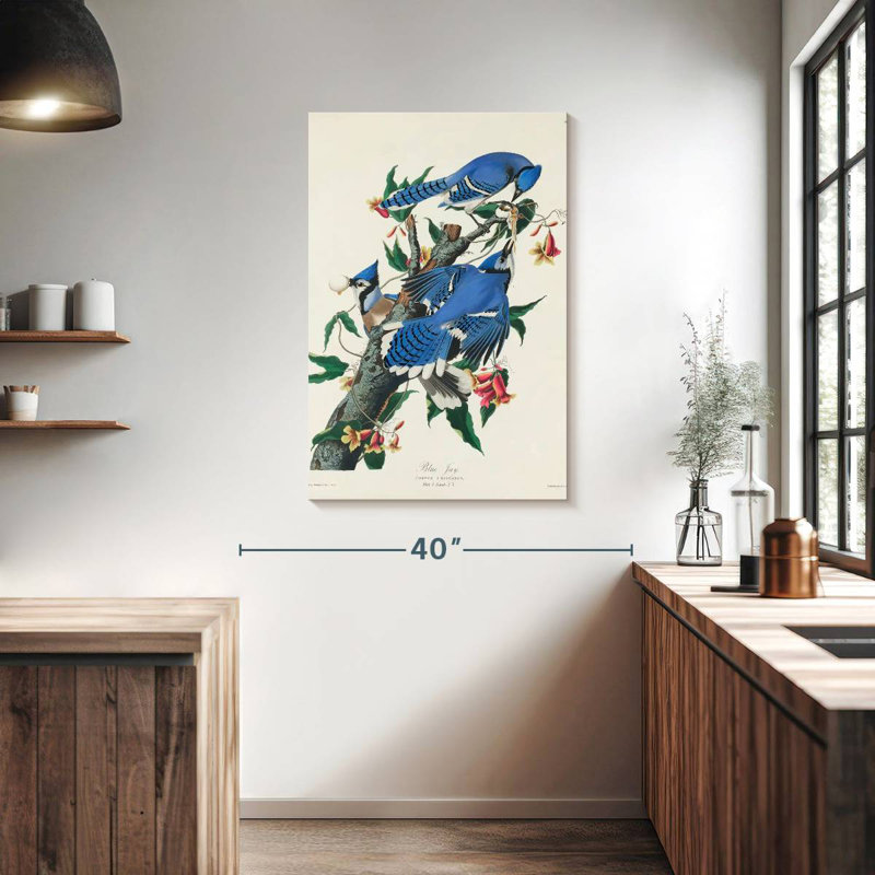 Geai bleu Brampt, H 39 po x l 26 po