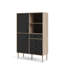 Felecia Rectangle Accent Cabinet-1803750995