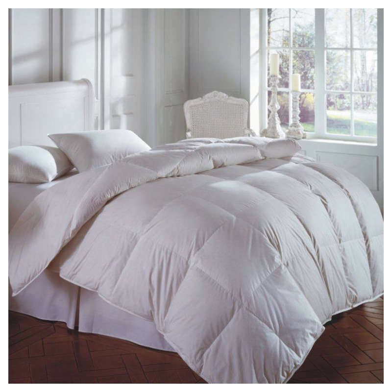 Oreiller européen Hidalgo, Standard