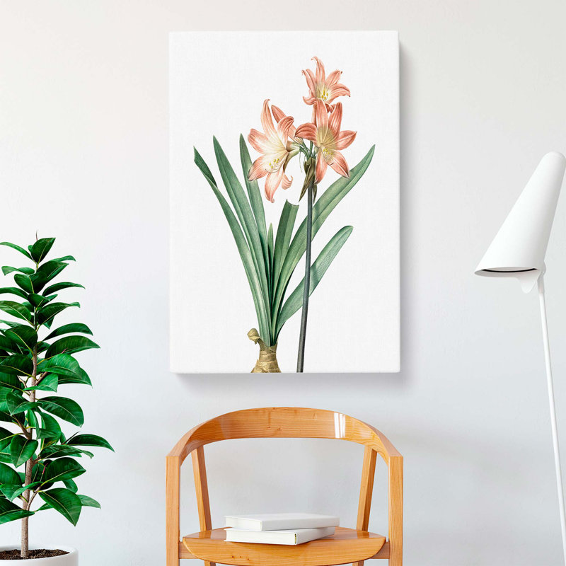 Amaryllis Flowers in Pink - Wrapped Canvas, 50cm H x 35cm W x 3cm D