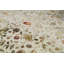 Chantel Floral Area Rug