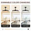 Ceiling Fan with LED Lights